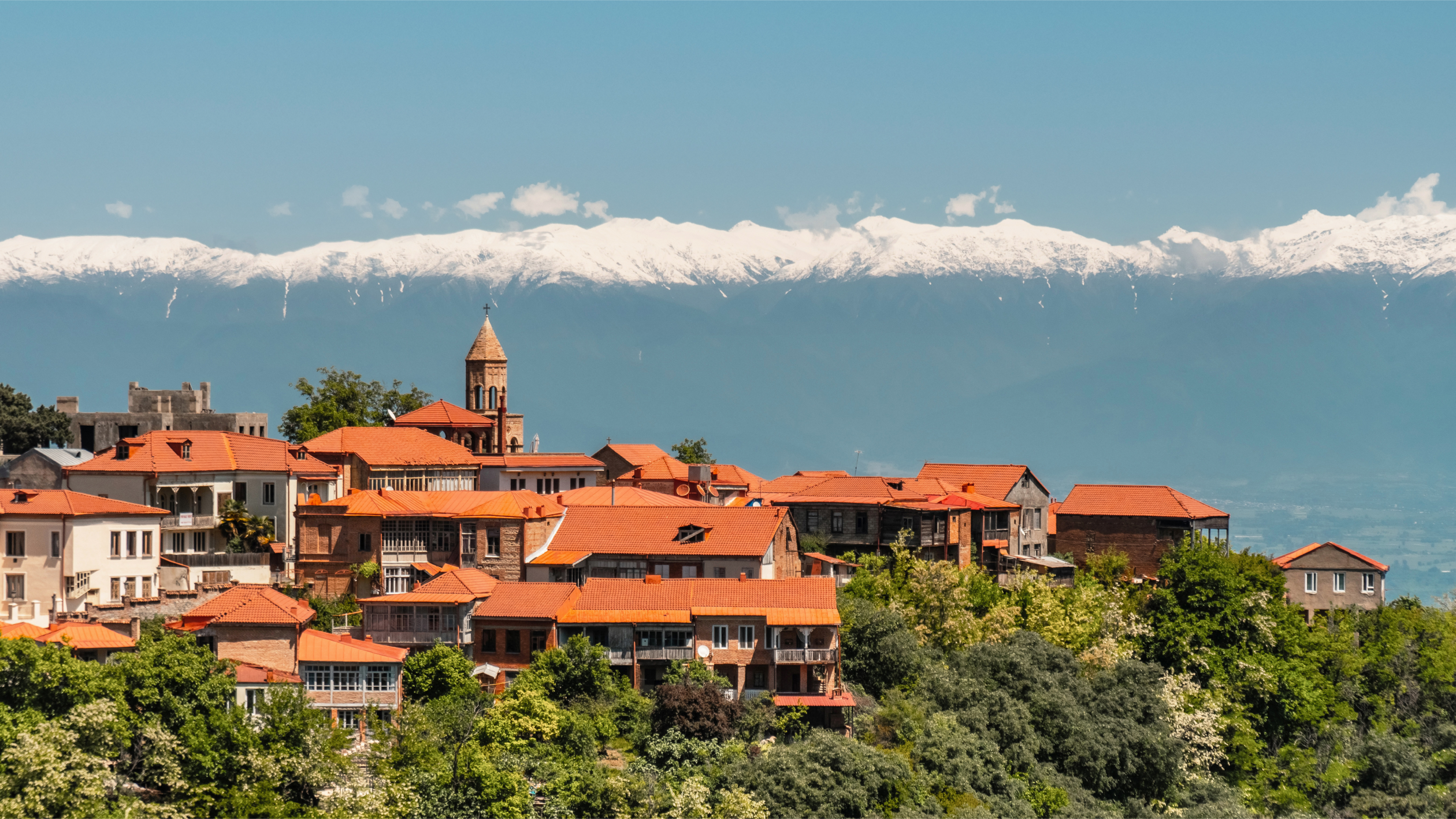 Wine tour in Kakheti