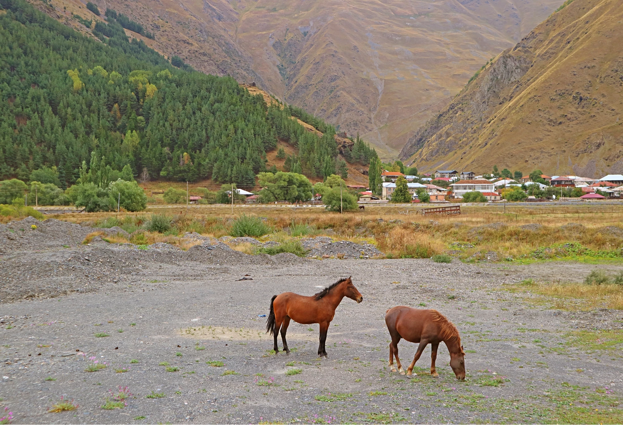 Ananuri - Gudauri - Kazbegi